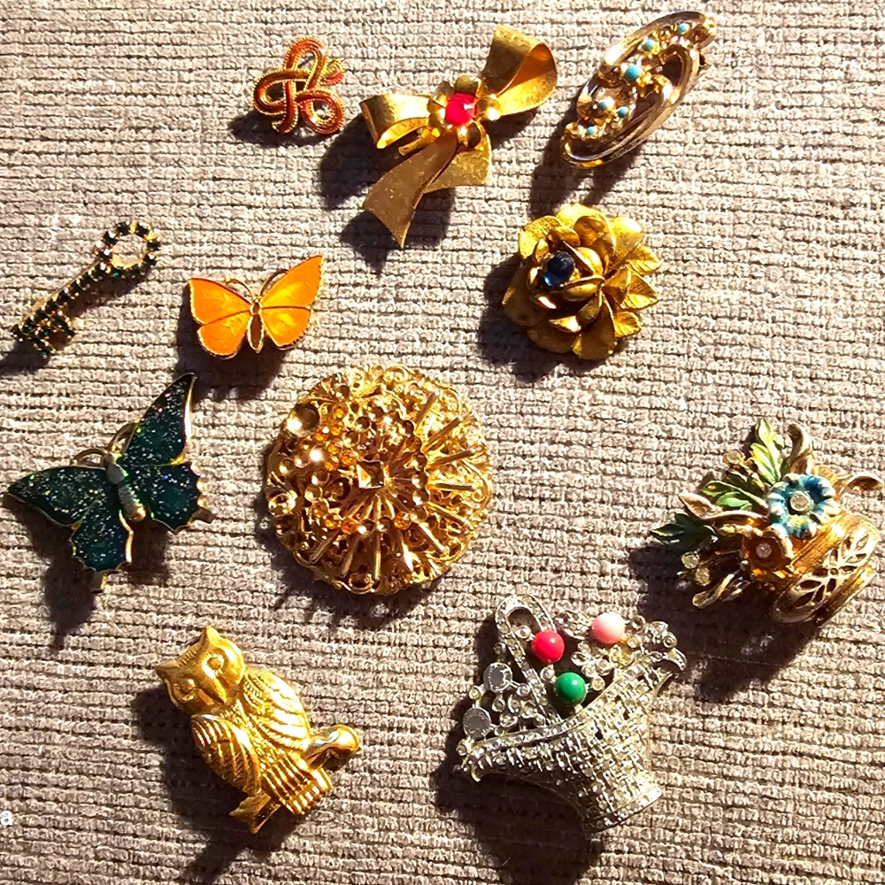 10 Vintage Brooches & 1 Clip